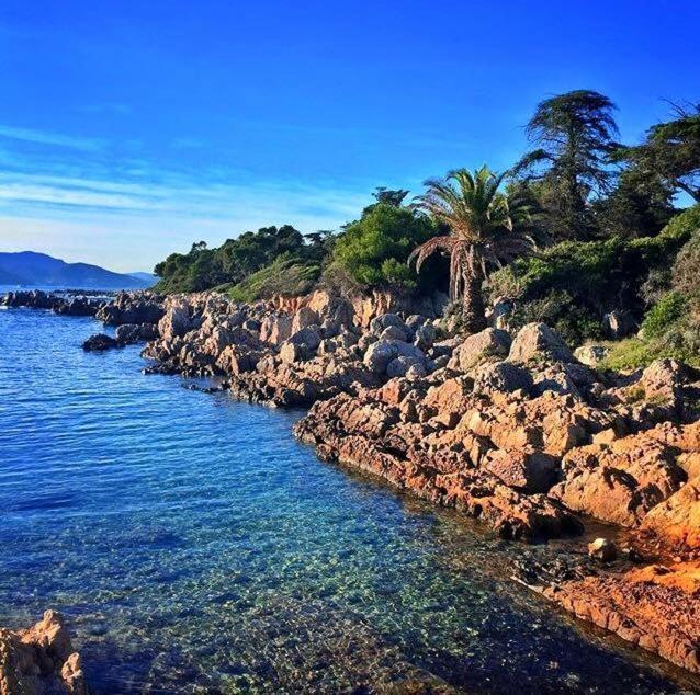 Appartement Palm Croisette Sea View *