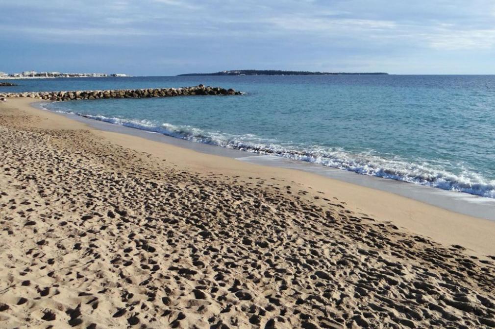 Palm Croisette Sea View Appartement