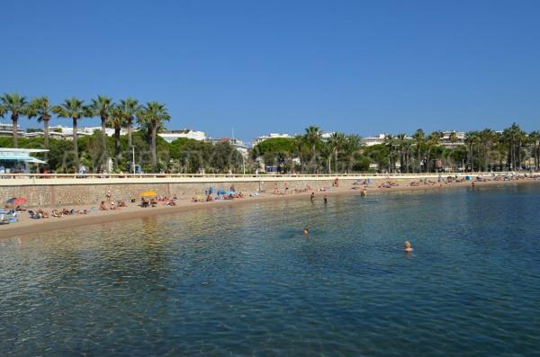Palm Croisette Sea View Appartement