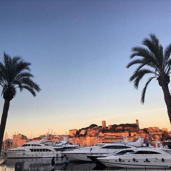 Apartment Palm Croisette Sea View Cannes