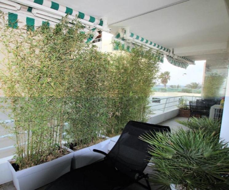 Apartment Palm Croisette Sea View *